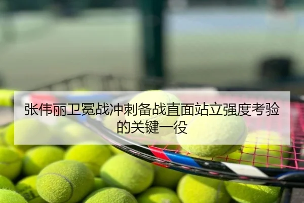 张伟丽卫冕战冲刺备战直面站立强度考验的关键一役