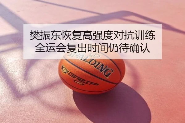 樊振东恢复高强度对抗训练 全运会复出时间仍待确认