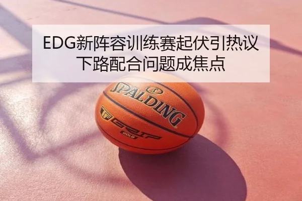 EDG新阵容训练赛起伏引热议 下路配合问题成焦点